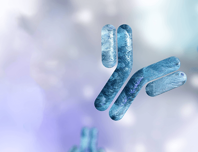 Antibody Product Antibody Product