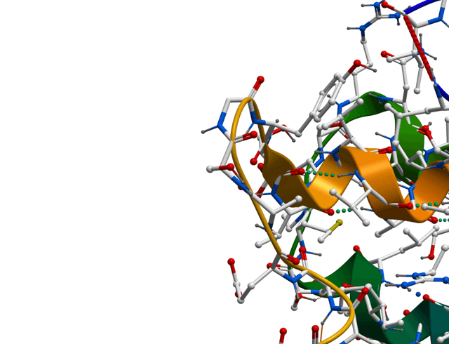 Recombinant Protein Recombinant Protein