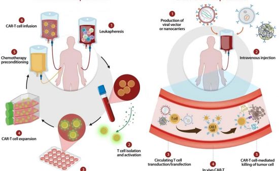 Three Core Considerations for Replication-Competent Lentivirus (RCL) Testing in In Vivo CAR-T Therapy
